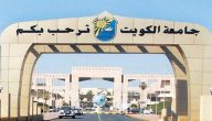 كيف اتواصل مع جامعة الكويت؟ رقم جامعة الكويت المجاني ما هو؟