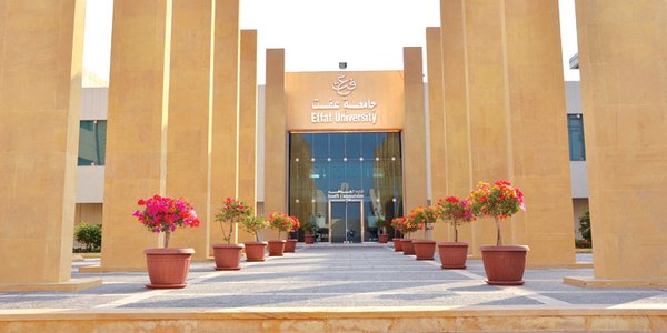كم سعر الترم في جامعة عفت