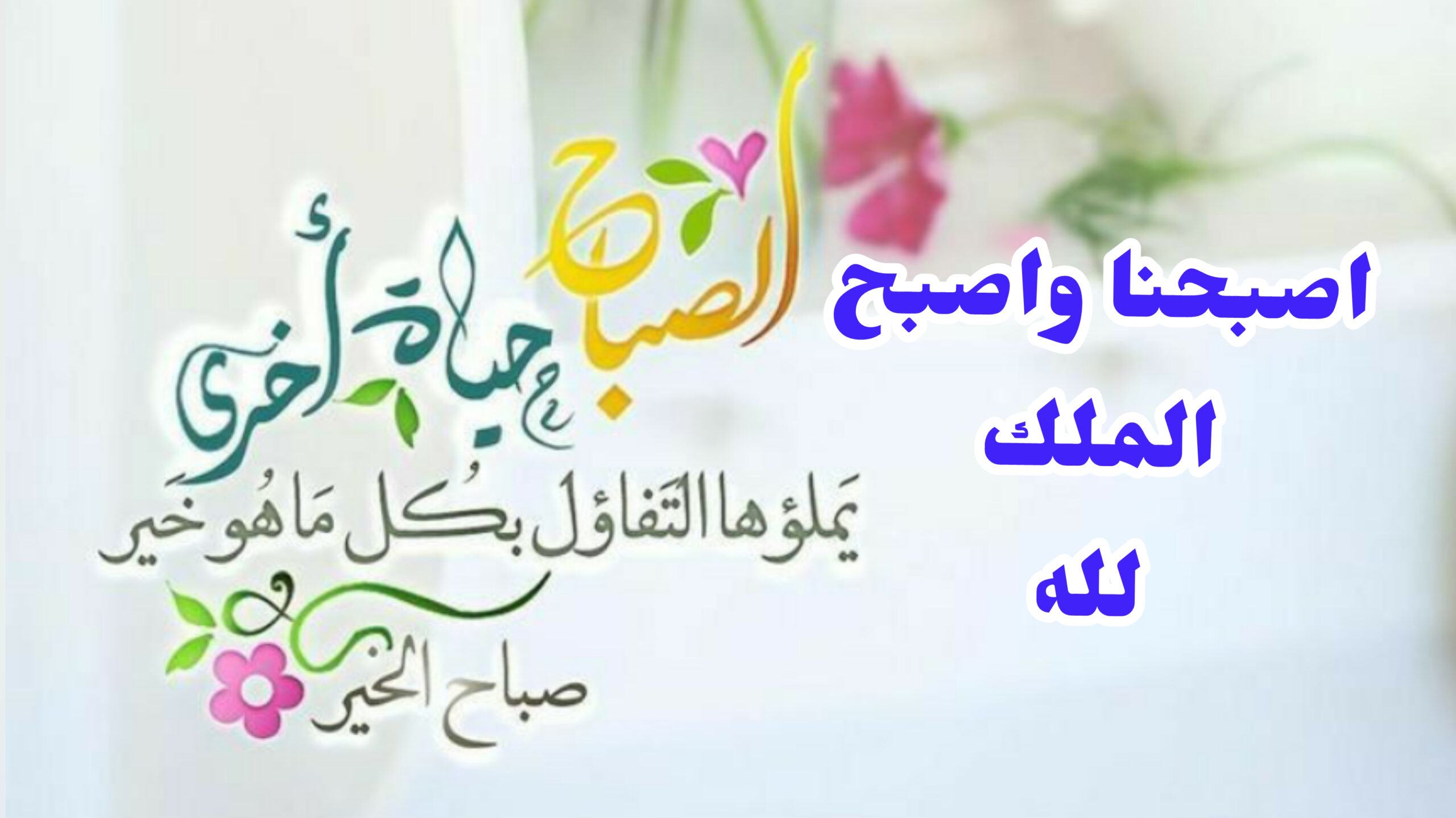 اقتباسات صباحية دينية 2025 أجمل رسائل صباحية إسلامية