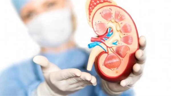 حكم التبرع بالأعضاء بعد الموت هيئة كبار العلماء