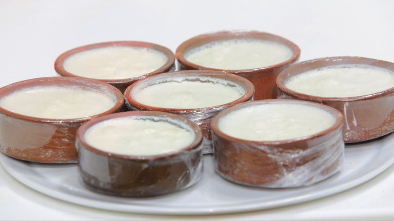 طريقة عمل الزبادي في البيت